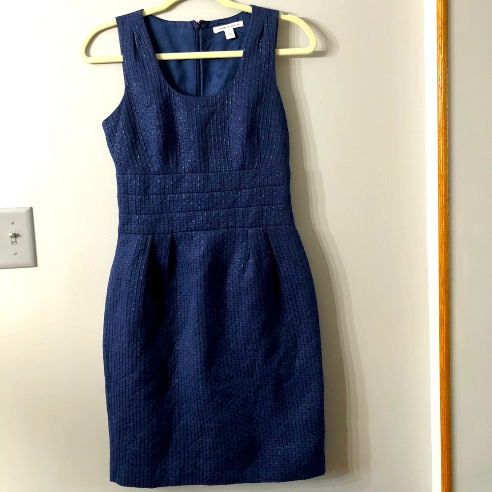 Banana Republic Size 2 Navy Dress